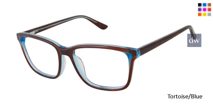 Tortoise Blue   GX069