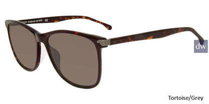 Tortoise/Grey Lozza SL4162M Sunglasses