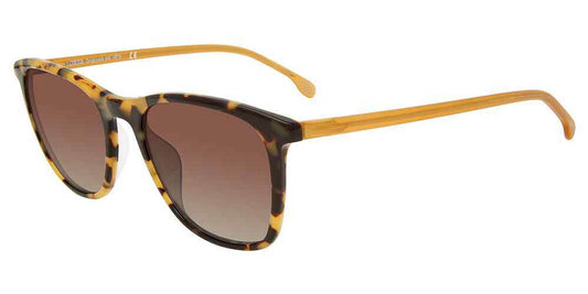 Tortoise Lozza SL4177M Sunglasses