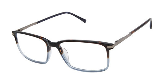 Tortoise Blue Fade                TXL005