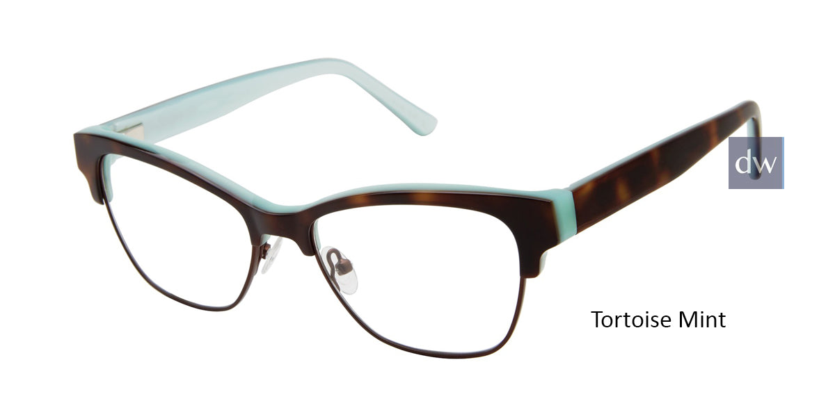 Tortoise - TOR