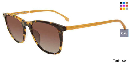 Tortoise Lozza SL4177M Sunglasses