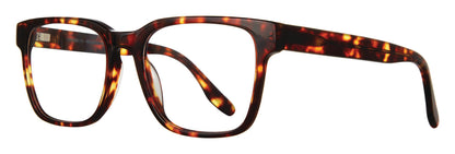 Tortoise         Brooklyn Heights Wells Eyeglasses