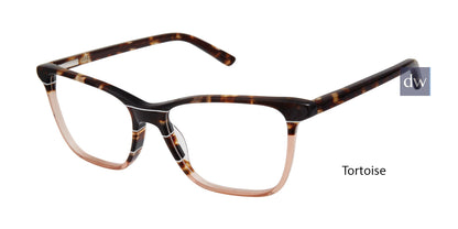 Tortoise    LA065
