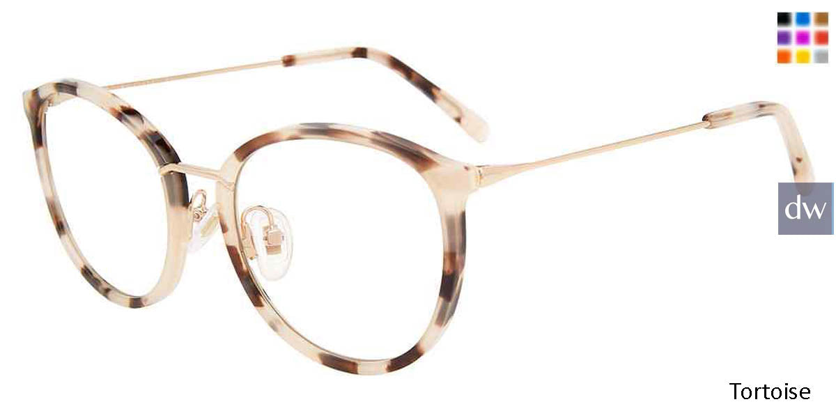 Tortoise Diff Palmer Eyeglasses
