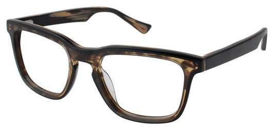 Tortoise                B881