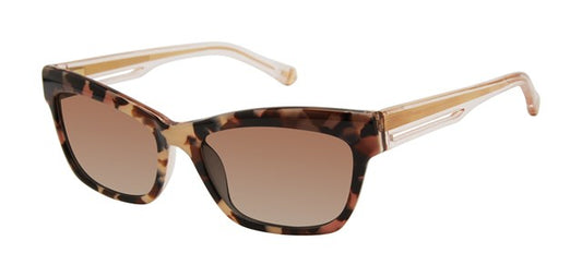 Tortoise       SYLVIE K582