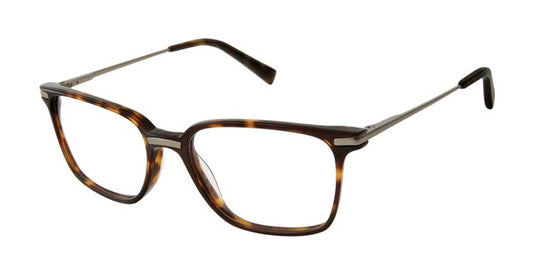 Tortoise          TB801