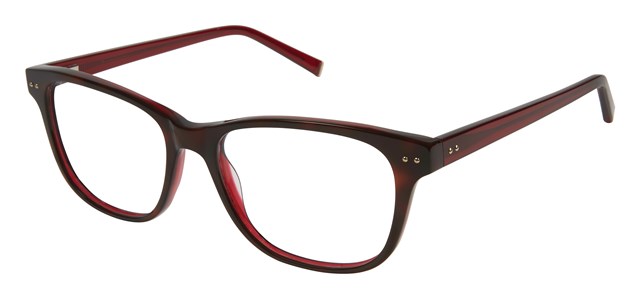 Tortoise            K312