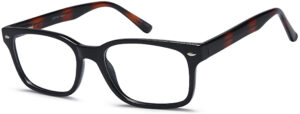 Black Tortoise