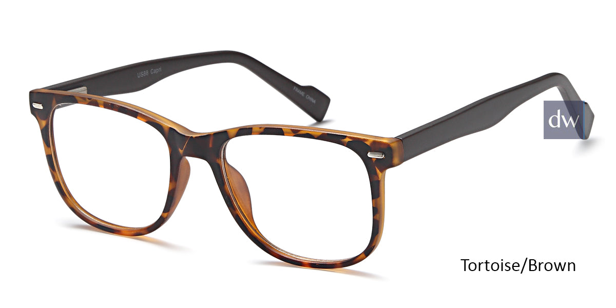 Tortoise Brown