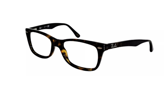 Tortoise (5228)
