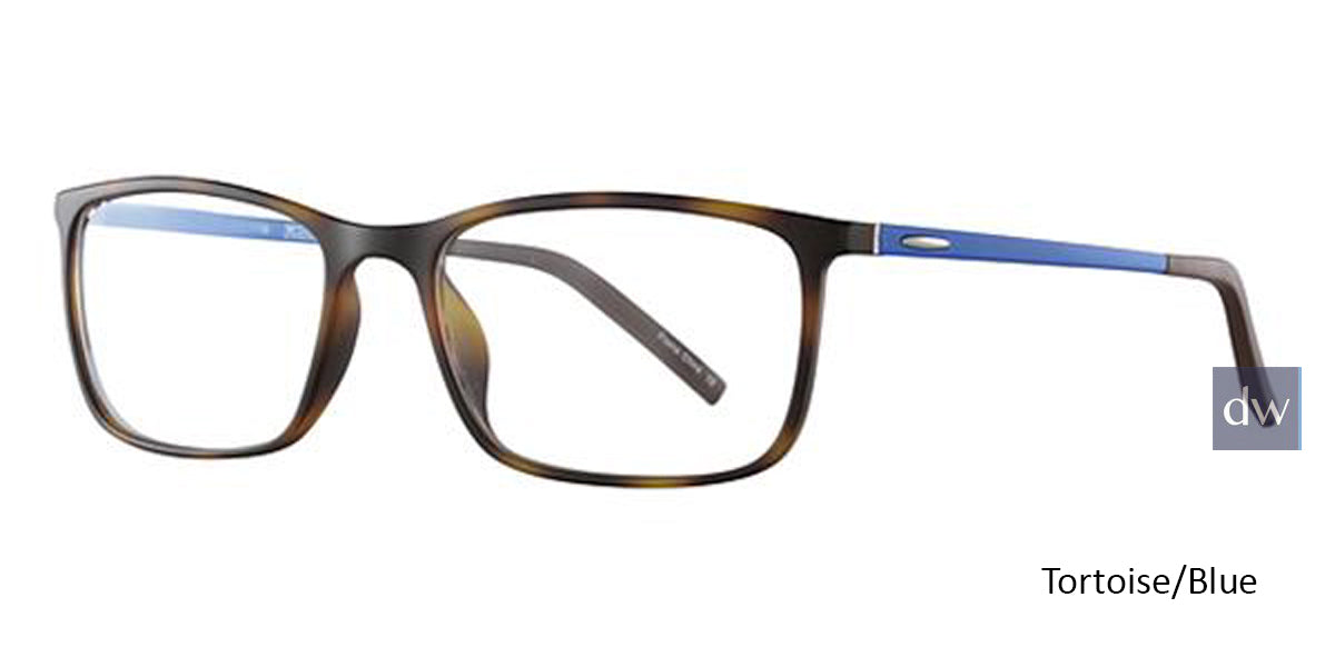 Tortoise/Blue