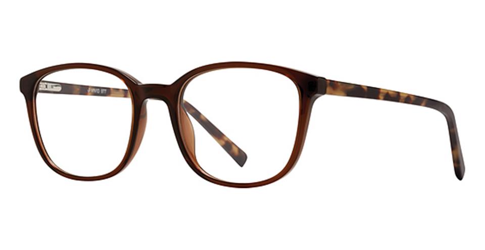 Vivid Fashion Acetate Vivid 977 Eyeglasses