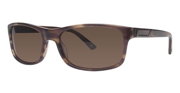 Wired 6602 Sunglasses
