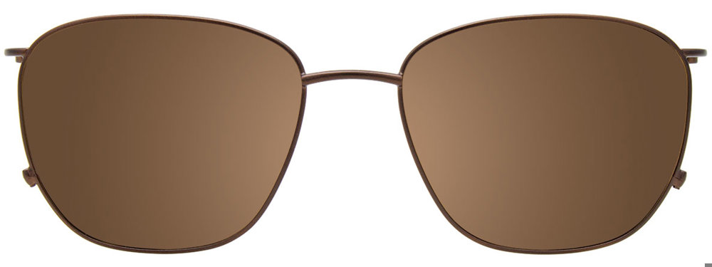 Brown Tortoise Clip On
