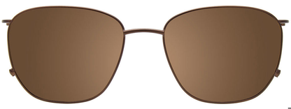 Brown Tortoise Clip On