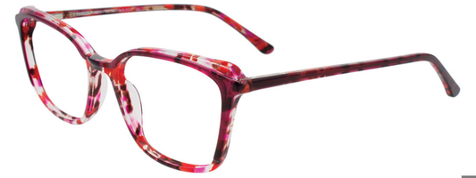Red Tortoise
