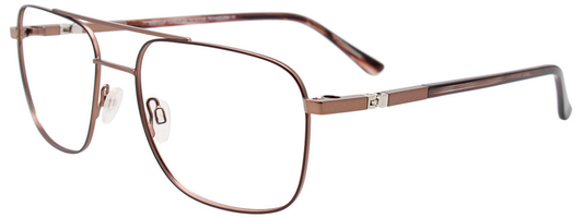 Light Brown Dark Brown