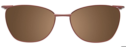 Copper Brown L. Blue Trim Clip On