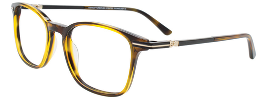 Marbled Brown Black
