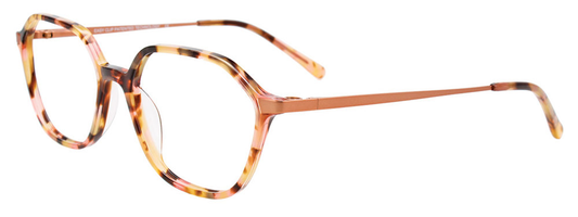 Tortoise Brushed Copper Stl