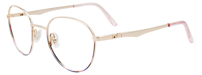 Shiny Gold Pink Tort