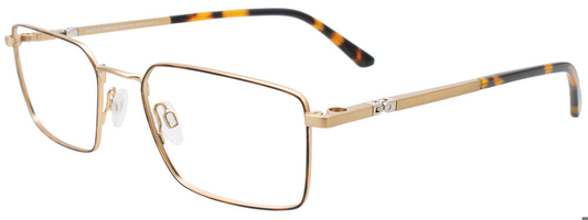 Tortoise Gold