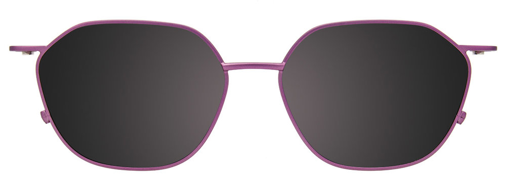 Tortoise Brushed Lilac Steel Clip On