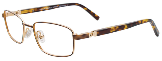 Tortoise Soft Gold Tortoise