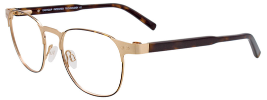 Brushed Gold Tortoise