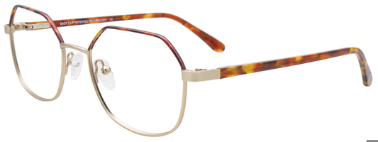 Tortoise  Gold Tortoise