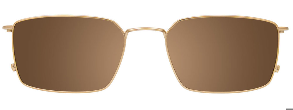 Tortoise Gold Clip On