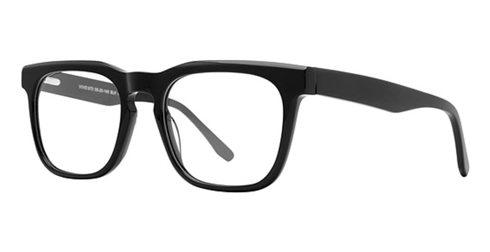 Vivid Fashion Acetate Vivid 973 Eyeglasses