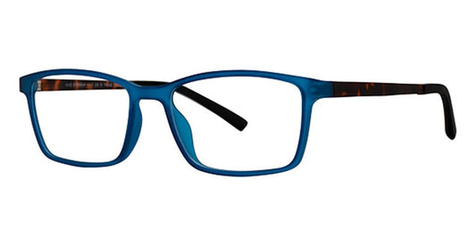 Blue Tortoise