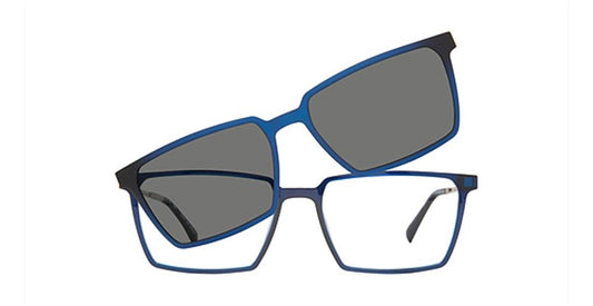 Matt Blue Tortoise