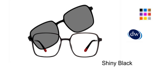 Shiny Black