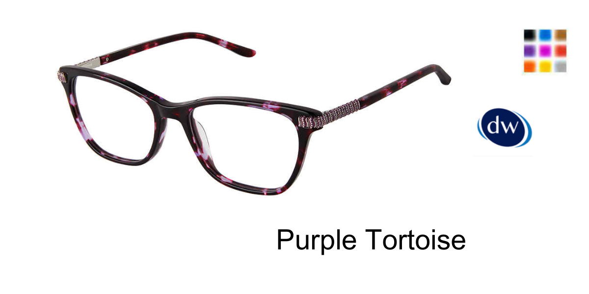 Purple Tortoise