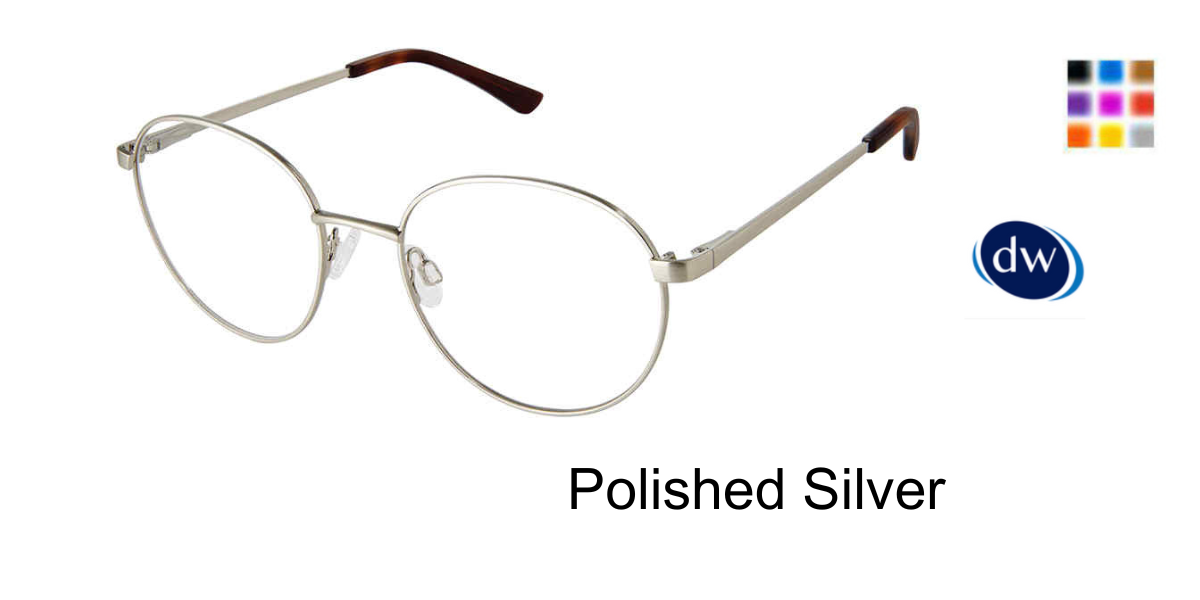 Polished Silver