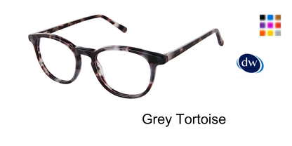 Grey Tortoise