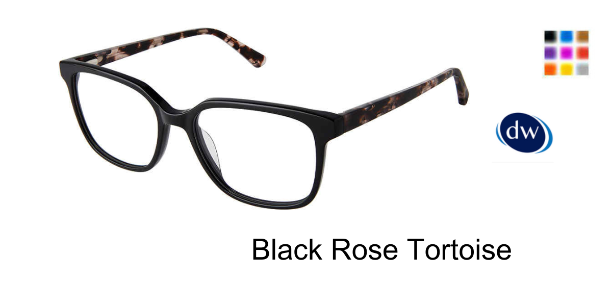 Black Rose Tortoise