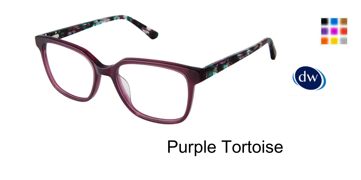 Purple Tortoise