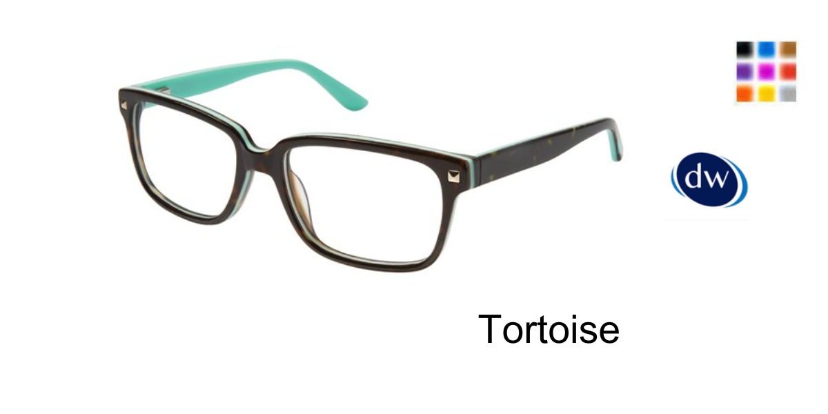 Tortoise