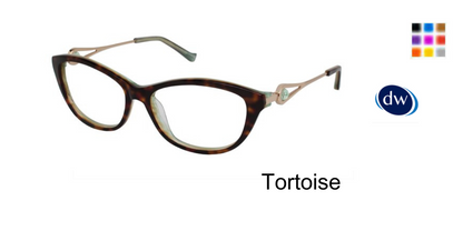 Tortoise