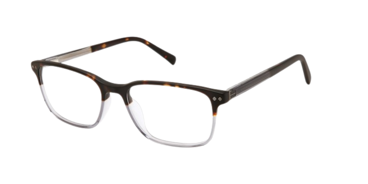 TED BAKER OPTICAL TFM019 Eyeglasses