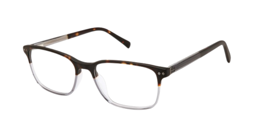 TED BAKER OPTICAL TFM019 Eyeglasses