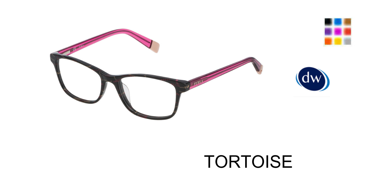 Tortoise