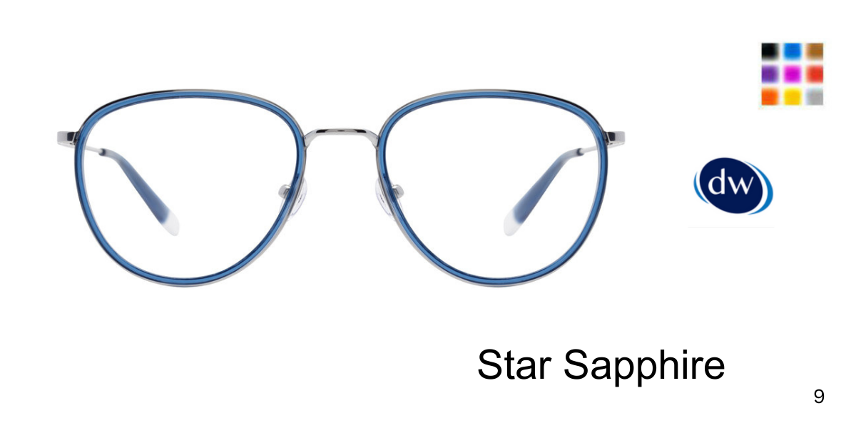 Star Sapphire          Original Penguin The Phillips Eyeglasses