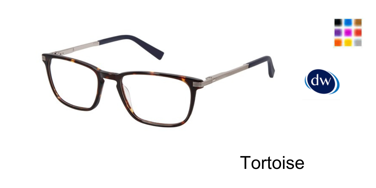 Tortoise           TFM004