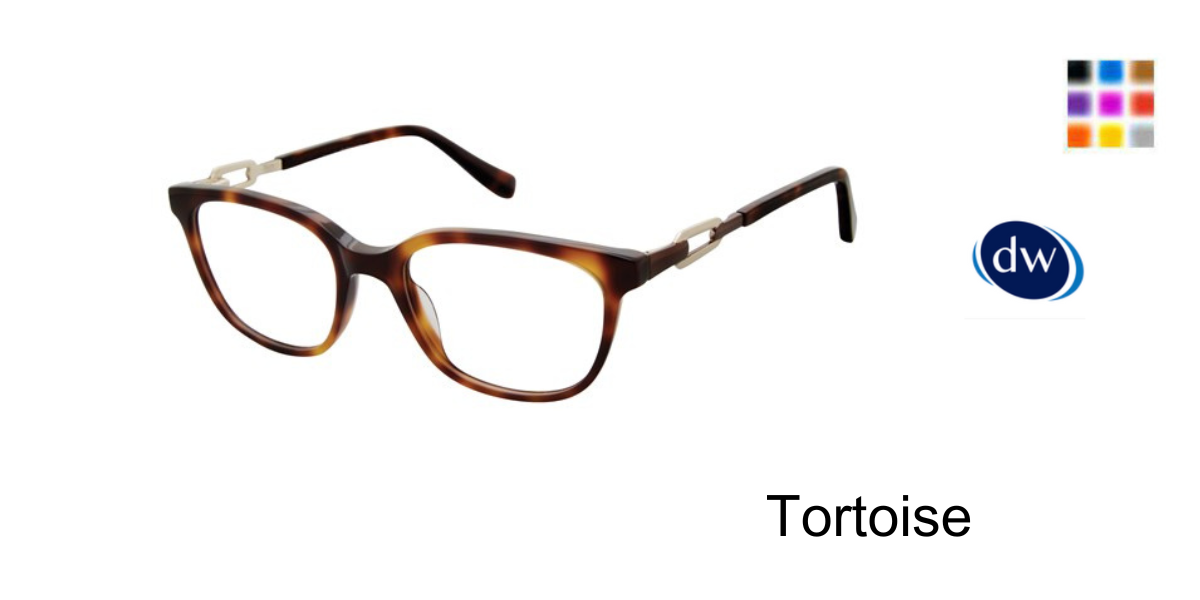 Tortoise